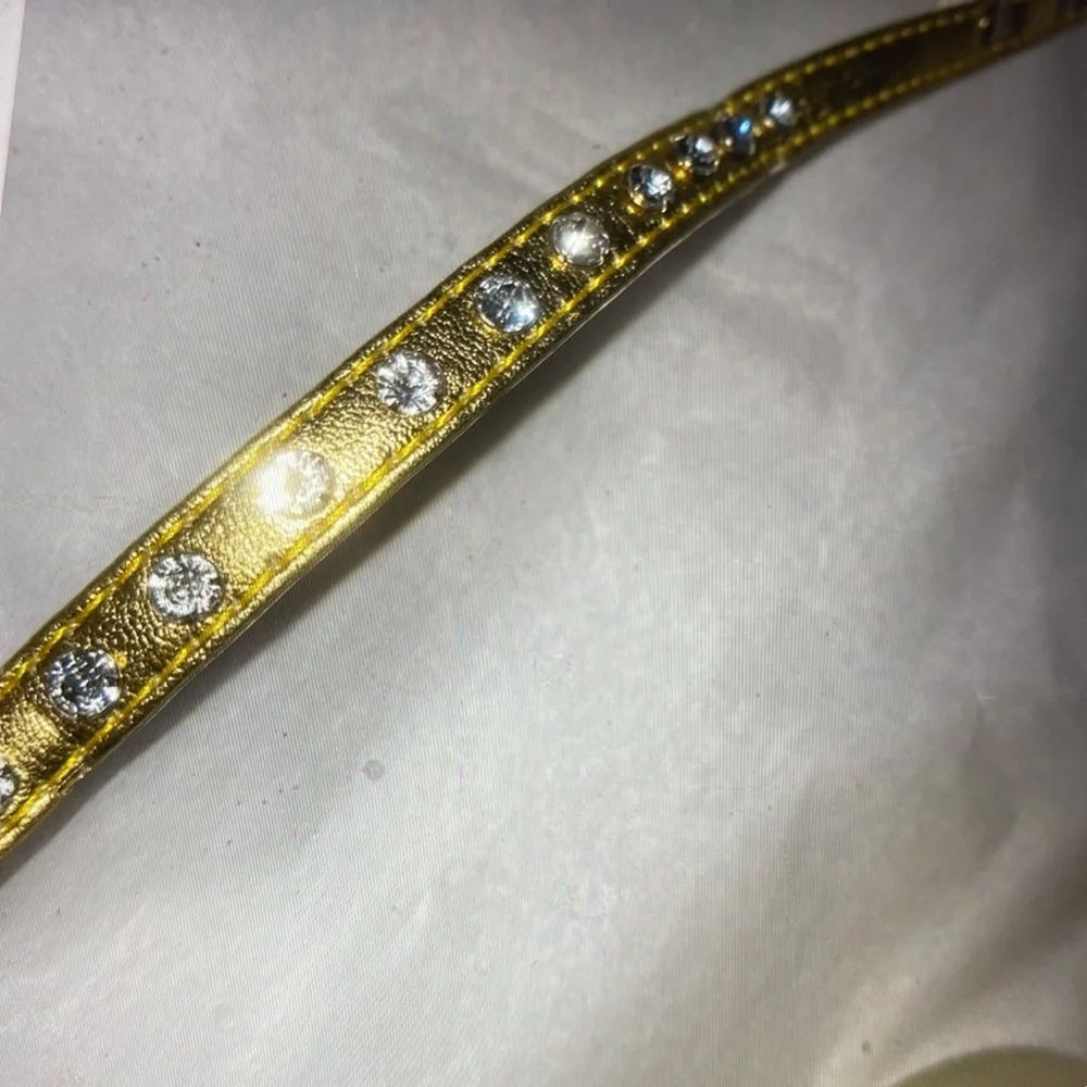 New dog leash gold rhinestone small dog.